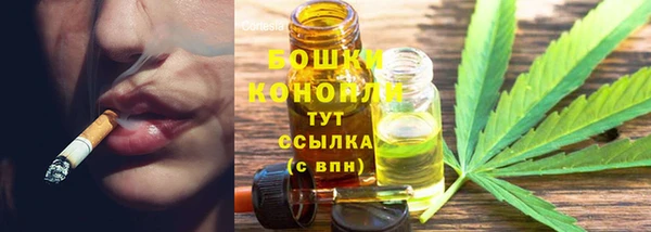 ПСИЛОЦИБИНОВЫЕ ГРИБЫ Галич