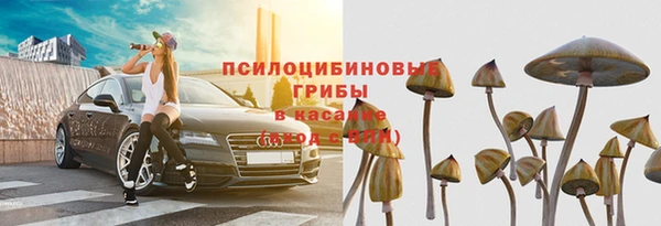 прущий лед Гатчина