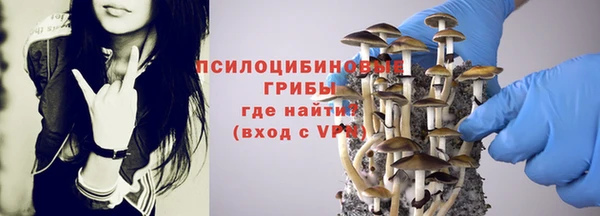 ПСИЛОЦИБИНОВЫЕ ГРИБЫ Галич