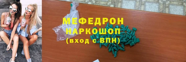 индика Дмитровск