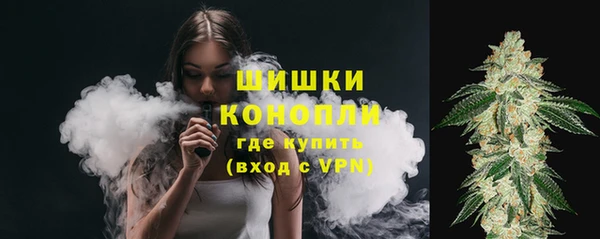 MDMA Premium VHQ Гвардейск