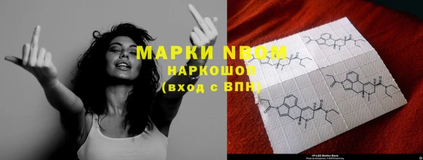 ПСИЛОЦИБИНОВЫЕ ГРИБЫ Галич
