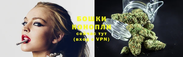 прущие грибы Всеволожск