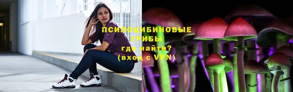 прущий лед Гатчина