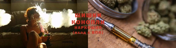 ПСИЛОЦИБИНОВЫЕ ГРИБЫ Галич