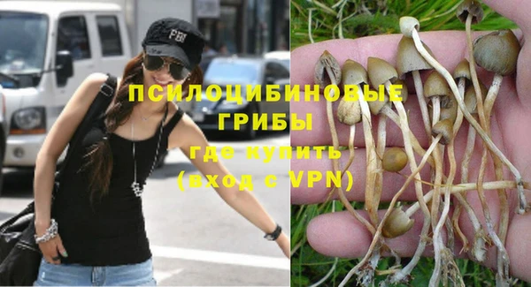 прущий лед Гатчина