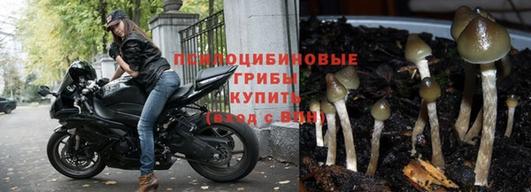 прущий лед Гатчина