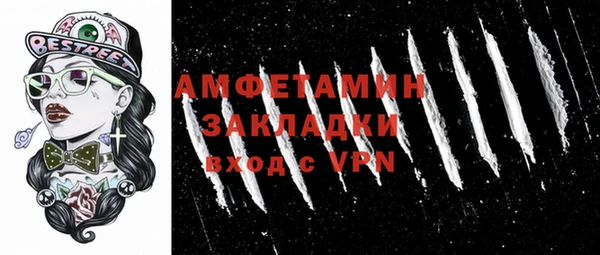 ПСИЛОЦИБИНОВЫЕ ГРИБЫ Галич