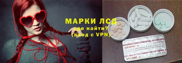 ПСИЛОЦИБИНОВЫЕ ГРИБЫ Галич