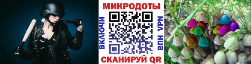 Галлюциногенные грибы GOLDEN TEACHER  darknet телеграм  Ишим 