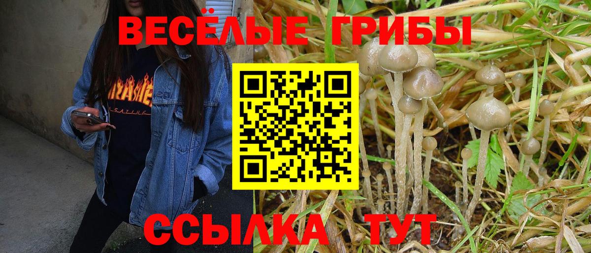 Ишим  Галлюциногенные грибы Psilocybe  Вход с VPN 