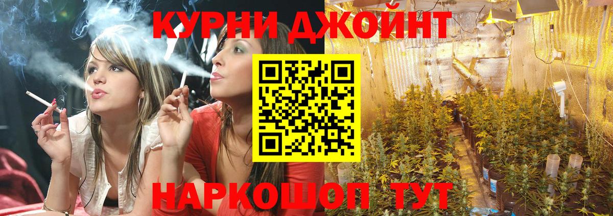 Шишки марихуана VHQ Ишим
